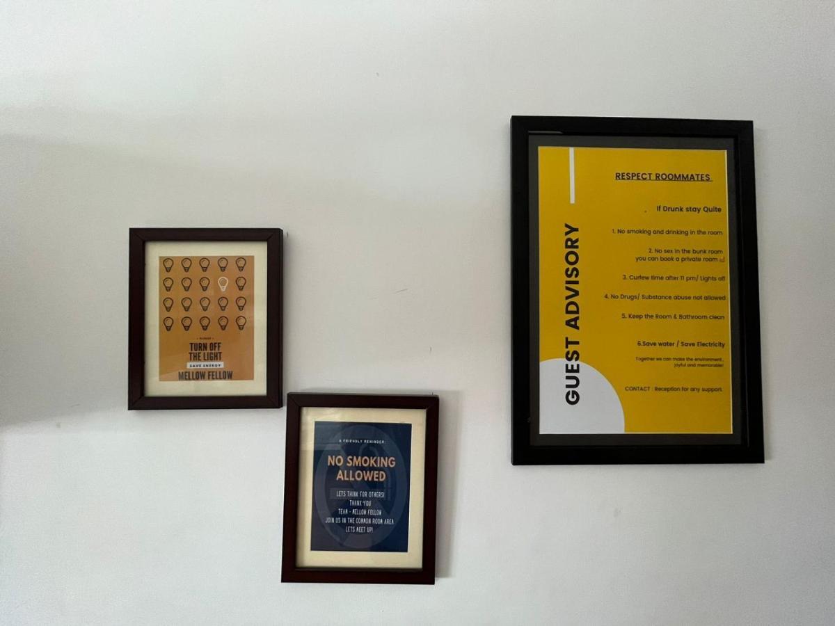 Mellow Fellow Hostel Ґанґток Екстер'єр фото